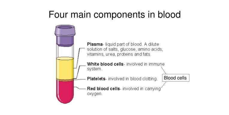 Components of Blood