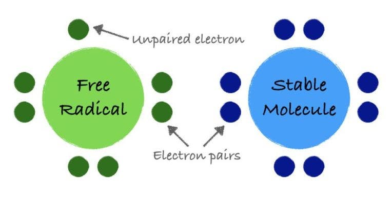 free radicals