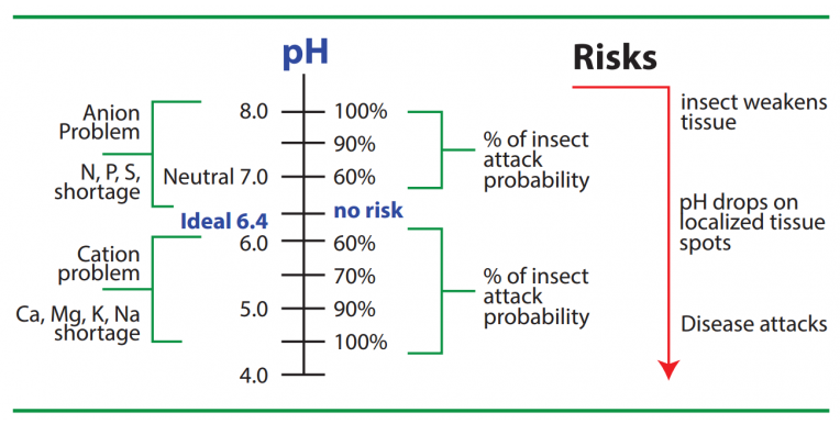 Measurement of pH in Plant Tissue