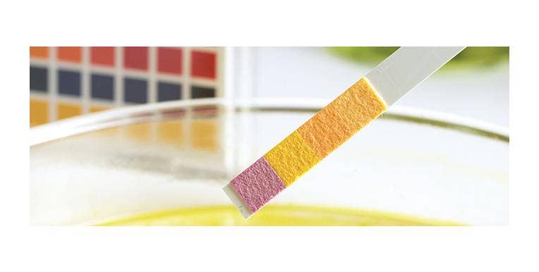 Why Use a Non-Bleeding pH Test Strip?